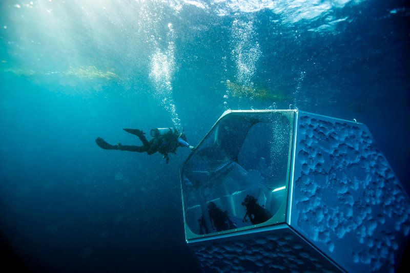 Doug Aitken. Underwater Pavilions. Pacific Ocean, Catalina Island